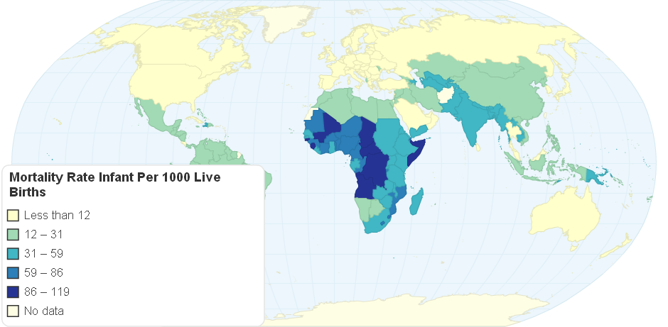 Mortality Rate Infant Per 1000 Live Births