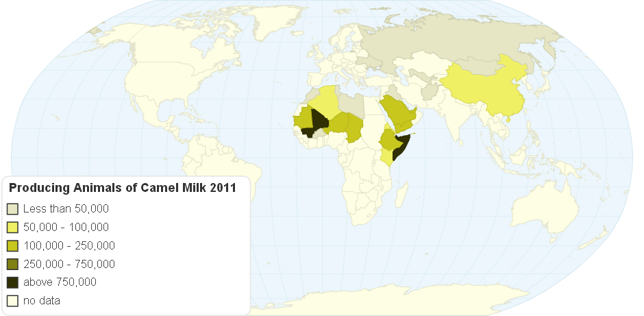 Producing Animals 1000 of Camel Milk 2011