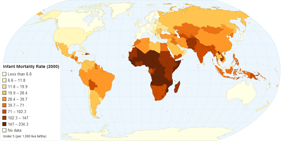 Infant Mortality Rate (2000)