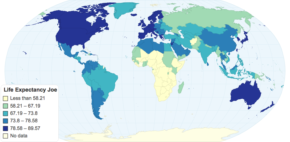 Life Expectancy Joe