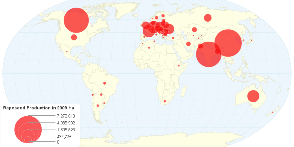 Rapeseed Production in 2009 Ha