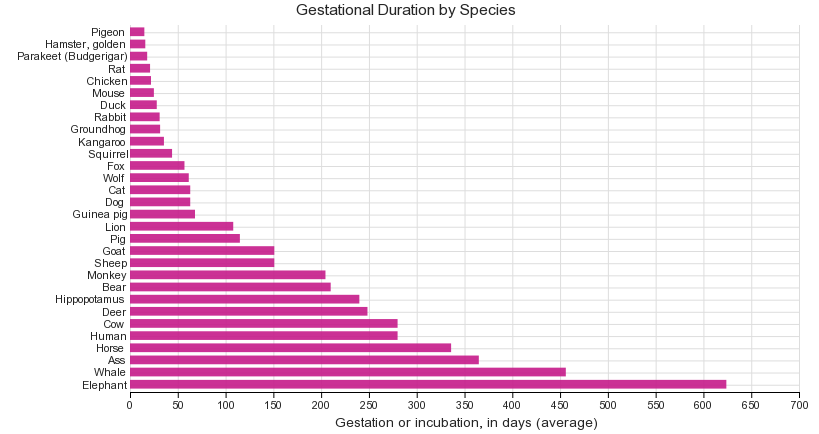 Gestational Duration by Species