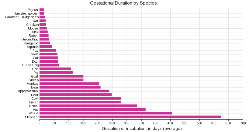 gestation period of different mammals