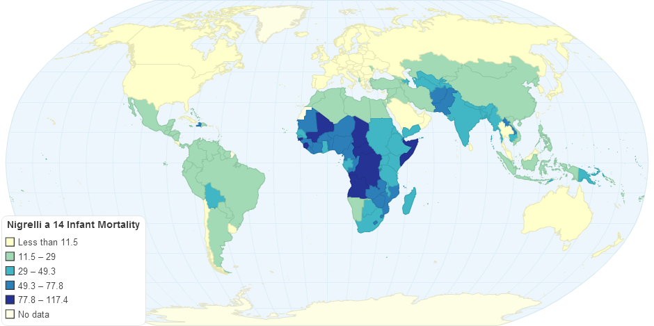 Nigrelli a 14 Infant Mortality