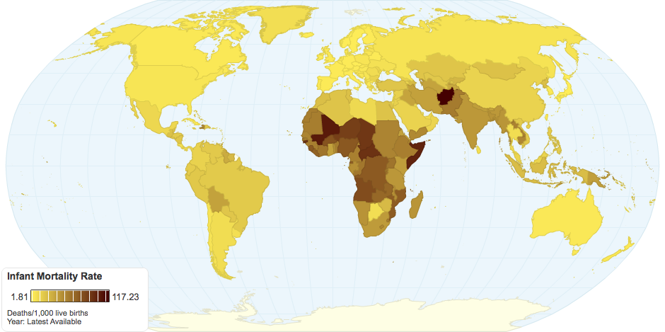 Infant Mortality Rate