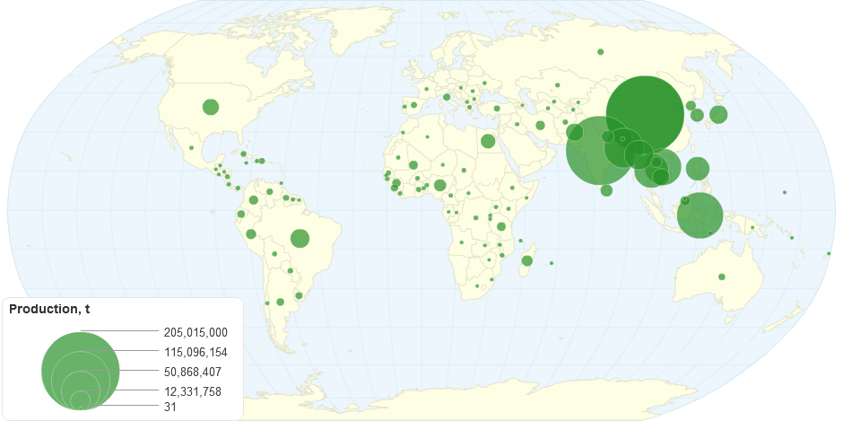 World Rice Production 2013