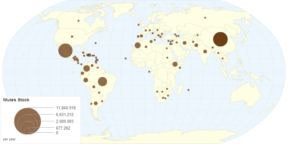 Mules Stock by Country