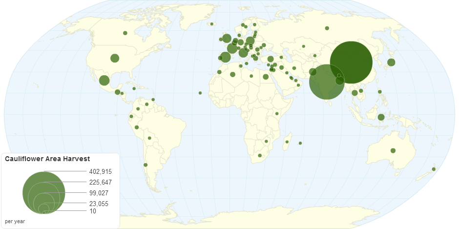 Cauliflower Area Harvest by Country