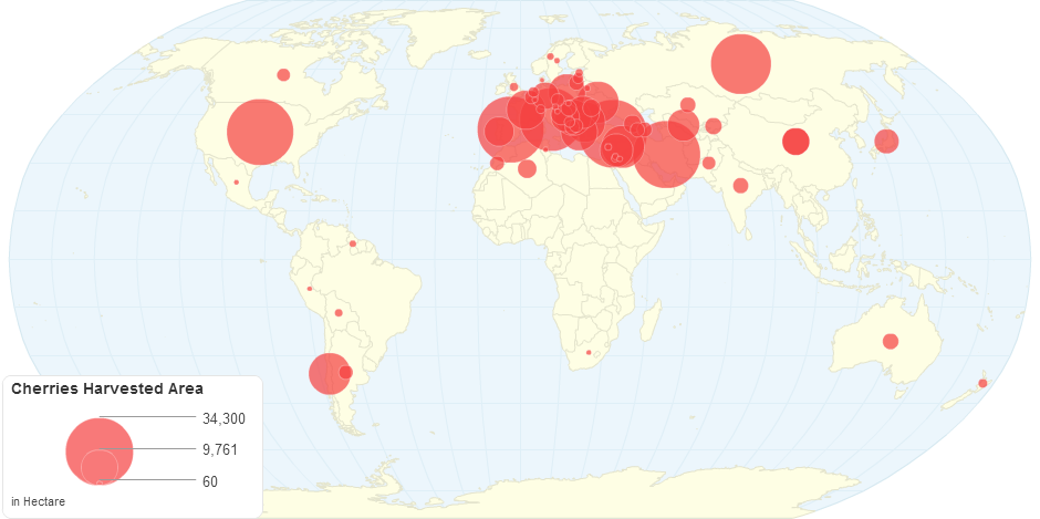 Cherries Harvested Area by Country