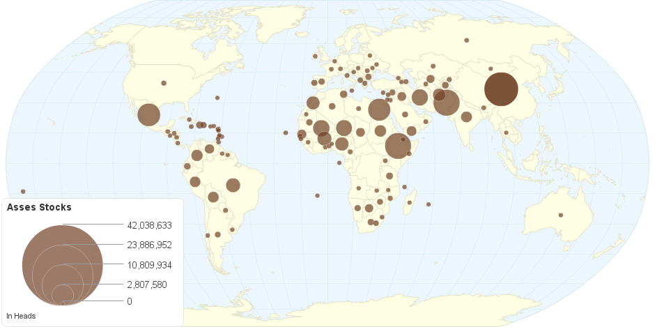 Asses Stocks by Country