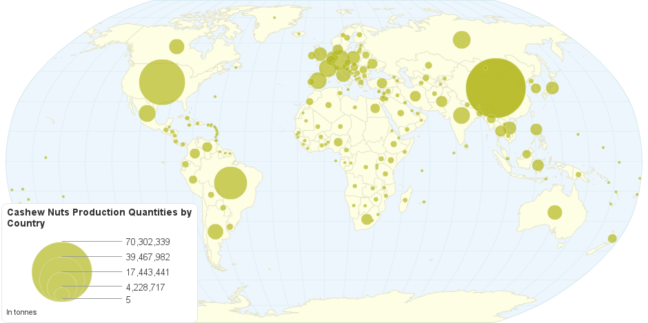 raw cashew nut producing countries