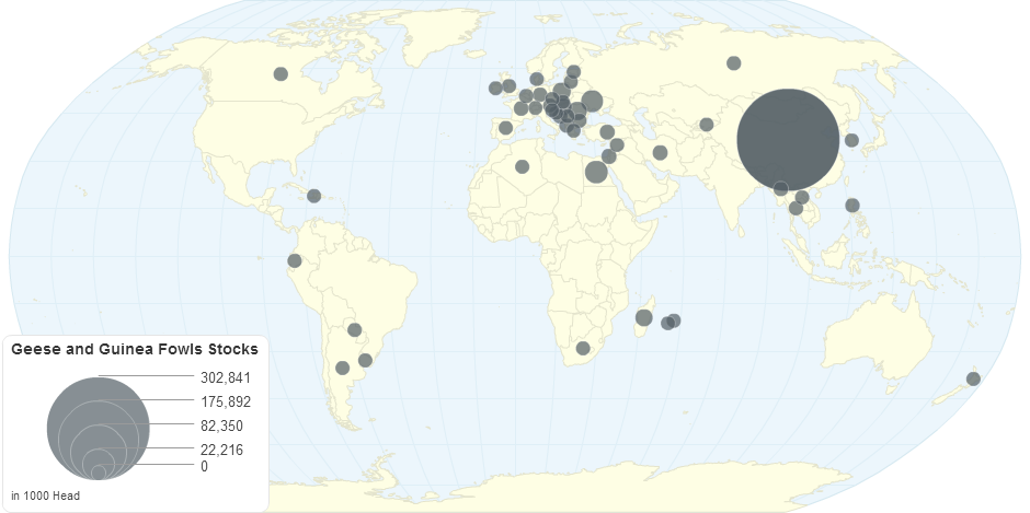 Geese and Guinea Fowls Stocks by Country