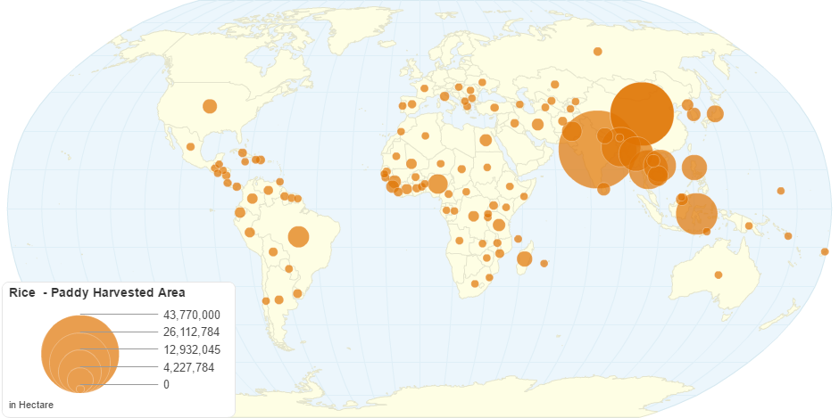 Rice - Paddy Harvested Area by Country