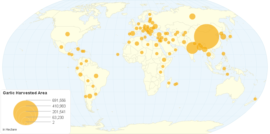 Garlic Harvested Area by Country