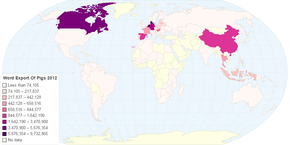 Word Export of Pigs