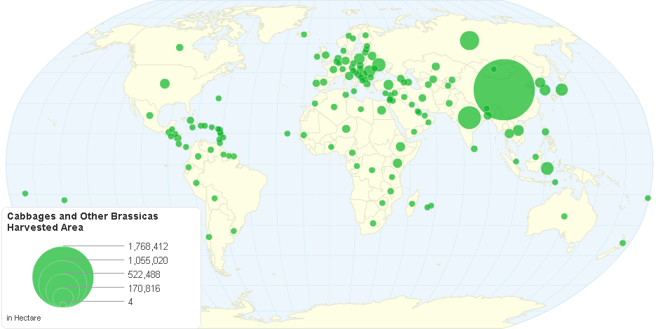 Cabbages and Other Brassicas Harvested Area by Country