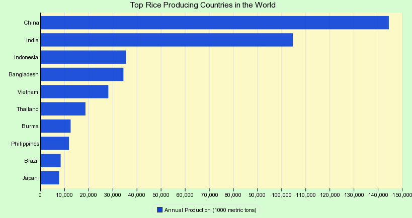 Top Rice Producing Countries in the World