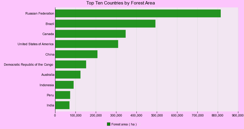 Top Ten Countries by Forest Area