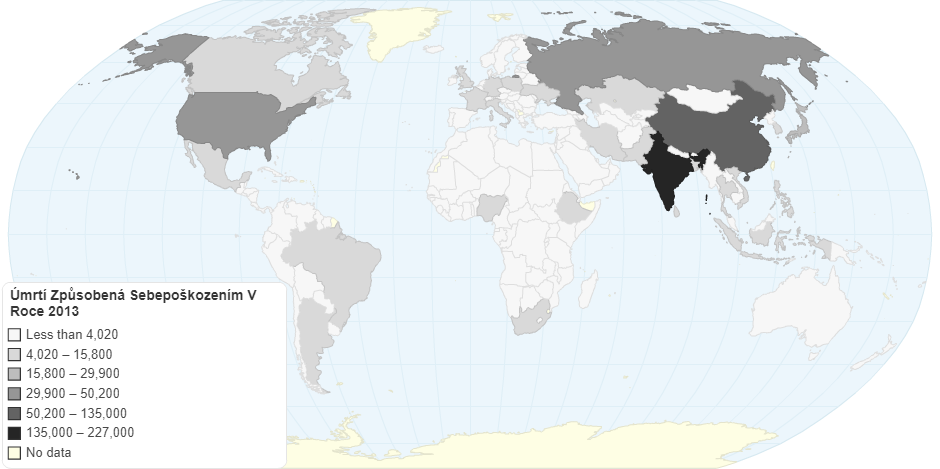 Úmrtí Způsobená Sebepoškozením V Roce 2013