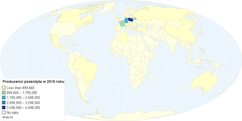 Producenci pszenżyta W 2019 Roku