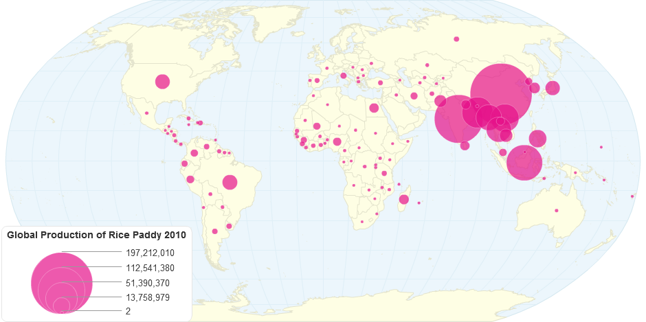 Global Production of Rice Paddy 2010