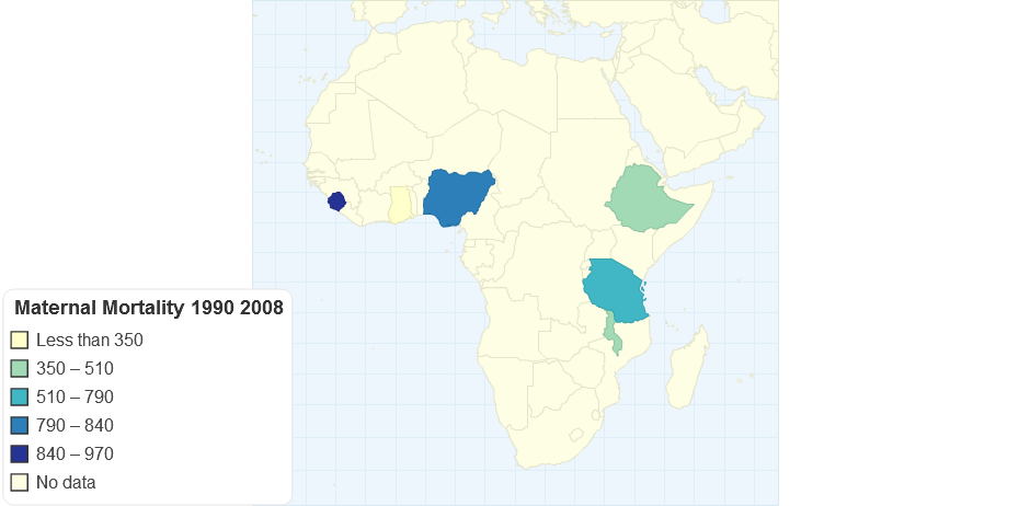 Maternal Mortality 2008