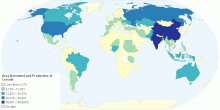 Area harvested and production of cereals 2009
