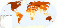 Daily Protein Intake Per Capita