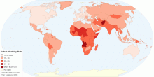 Current World Infant Mortality Rate