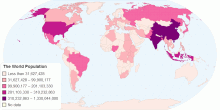 The World Population