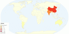 World Wheat Production - working document