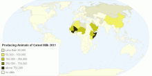 Producing Animals 1000 of Camel Milk 2011