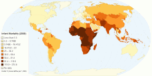 Infant Mortality 2005