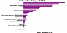 Most Common Cosmetic Surgery in the US 2010