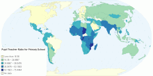 Pupil Teacher Ratio for Primary School