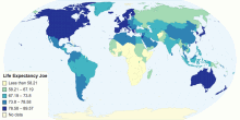 Life Expectancy Joe