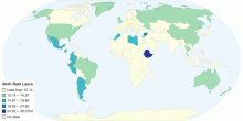 Birth Rate - Leora