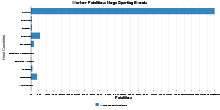 Worker Fatalities: Mega Sporting Events