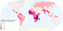 Estimated Annual Cervical Cancer Mortality Per 100000 Women