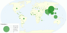 World Rice Production 2013