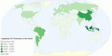 Vegetable Oil Production in the World