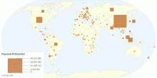 Plywood Production by Country