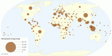 Permanent Crops Area by Country