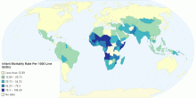 Infant Mortality Rate Per 1000 Live Births
