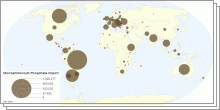 Monoammonium Phosphate Import & Export by country