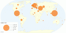 Cotton Yarn (Import)