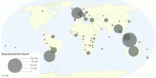 Superphosphate (Import)