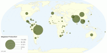 Bagasse Production by Country