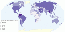 Injuries Life Lost by Broader Causes
