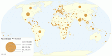 Roundwood Production by Country